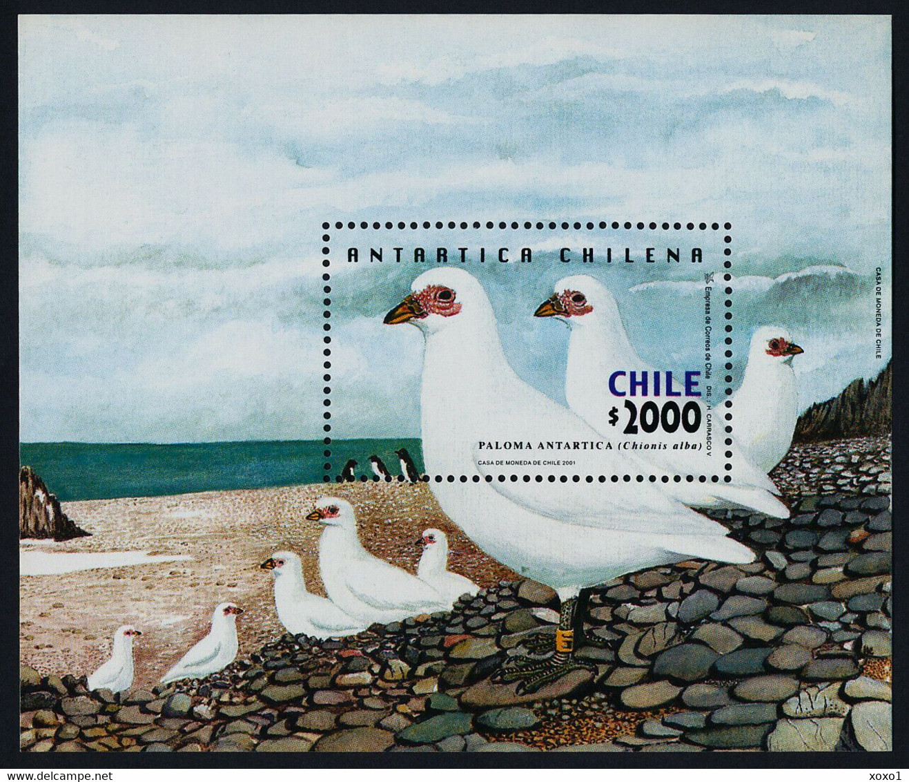 Chile 2001 MiNr. (Block 52) South Pole  Antarctic Wildlife Birds Snowy Sheathbill 1bl MNH** 13,00 € - Faune Antarctique