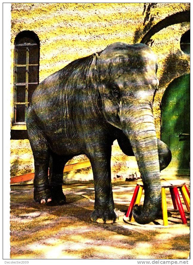 B15987 Animals Animaux Elephants Not Used Perfect Shape - Elefanten