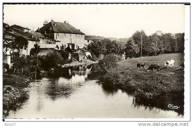 88 - VOSGES - MONTHUREUX-SUR-SAONE - Vue Du Pont Du Faubourg  - Dentelée  8,9 X 13,9 - Monthureux Sur Saone