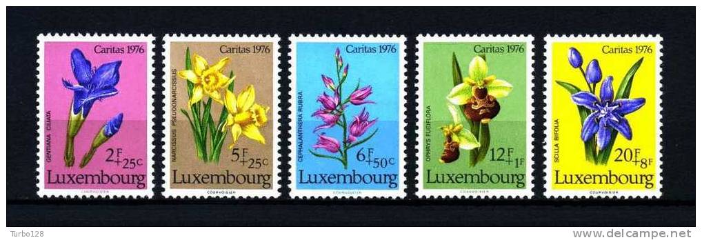 LUXEMBOURG 1976 Poste N° 886/890**  Neufs Ier Choix. Sup.  Cote: 6.50 &euro;  (Fleurs, Flowers. Caritas) - Ungebraucht