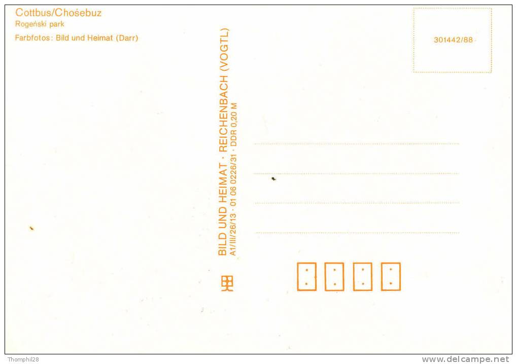 COTTBUS / CHOSEBUZ - Branitzer Park / Rogenski Park  - TBE, Carte Neuve, 2 Scans - Cottbus