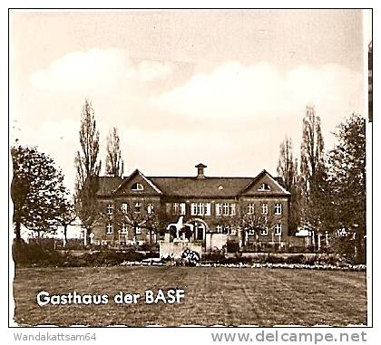 AK 43 GRUSS AUS Limburgerhof PFALZ Mehrbildkarte 5 Bilder 19.8.65 - 19 68 MANNHEIM 2 mr MANNHEIM BIETET JEDEM ETWAS SYLT