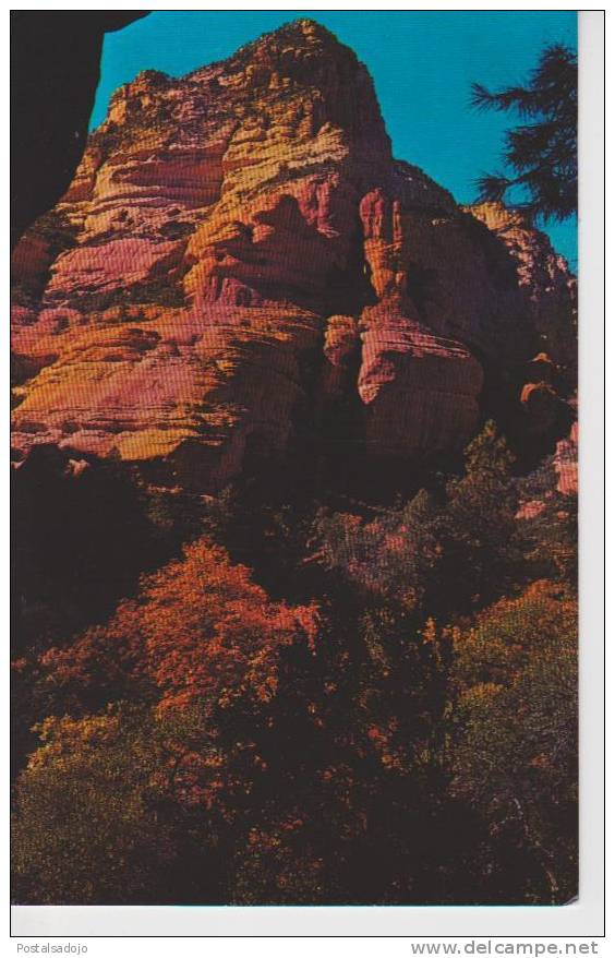 (EUA328) RED ROCK PINNACLES IN OAK CREEK CANYON - Grand Canyon