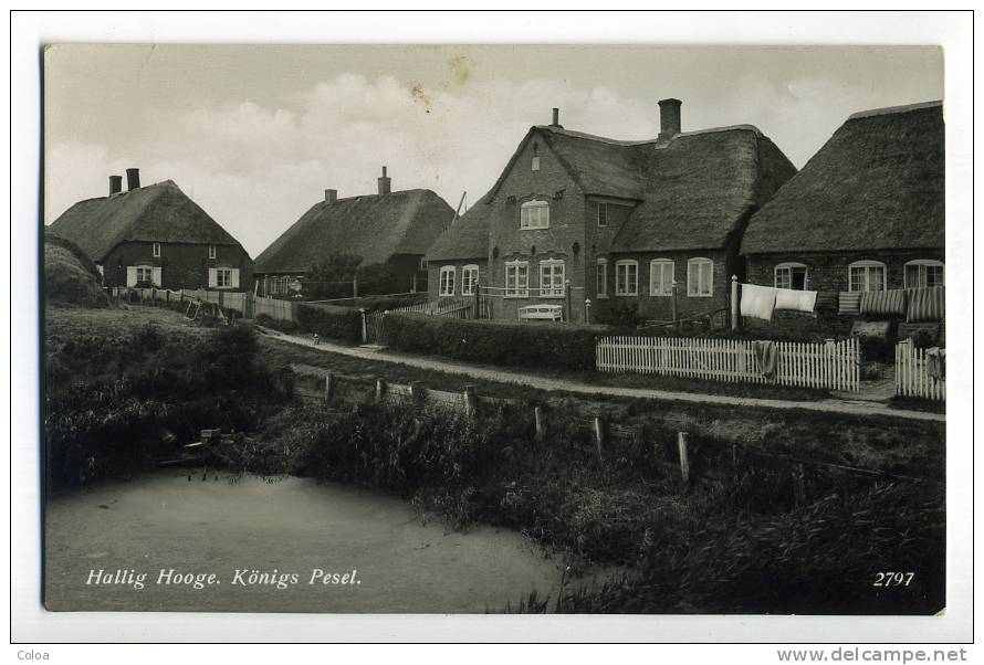 Hallig Hooge Königs Pesel - Halligen