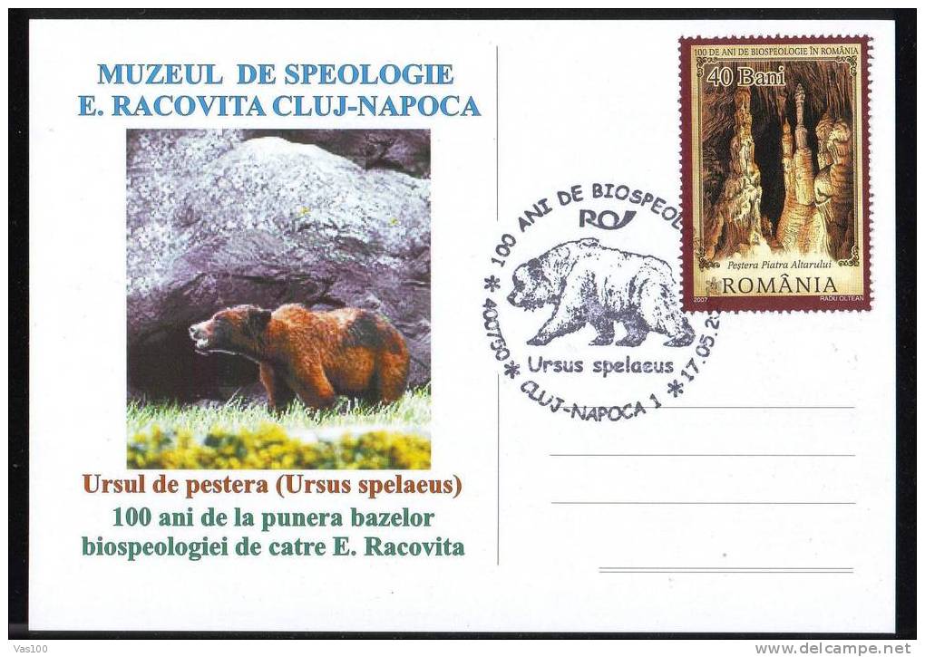 Bear Ours PMK ON POSTCARD 2007, ROMANIA. - Bears