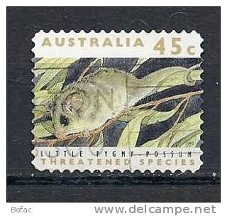 THEMES (OBL)  AUSTRALIE   (rongeurs Little Pygmy) - Nager