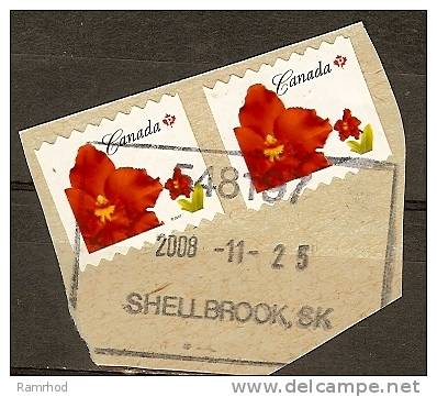 CANADA 2008 2 FLOWERS STAMPS ON PIECE AND NICE  SHELLBROOK SK CANCELLATION FU - Briefe U. Dokumente