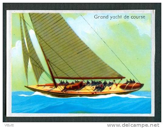 Image Bateaux : Grand Yacht De Course (Voilier) - Boats