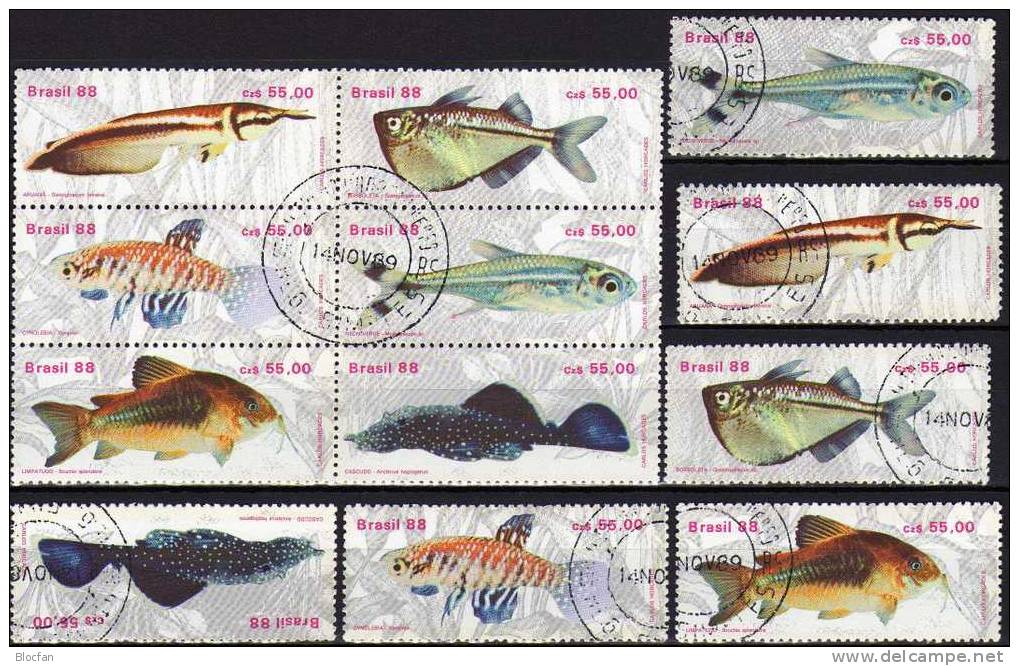 Fische Brasilien 2276/1,4xER+6-Block O 36€ WWF Bauchfisch Gabelbart Neon Kärpfling Glanz-Wels Blocs Fish Sheet Bf Brazil - Collections (en Albums)