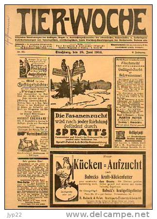 Zeitung Journal Tier-Woche Strasbourg 18-06-1914 En Allemand - Animal Animaux Vieilles Pub - Coq Faisan Vache élévage - Other & Unclassified