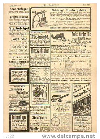 Zeitung Journal Tier-Woche Strasbourg 18-06-1914 En Allemand - Animal Animaux Vieilles Pub - Coq Faisan Vache élévage - Other & Unclassified