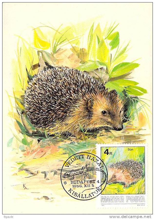 HONGRIE CARTE MAXIMUM NUM.YVERT  3073  FAUNE ANIMAUX SAUVAGES PROTECTION DE LA NATURE - Maximum Cards & Covers