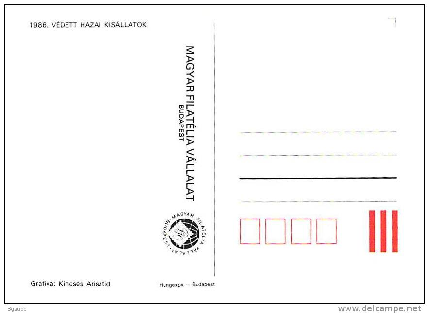 HONGRIE CARTE MAXIMUM NUM.YVERT  3073  FAUNE ANIMAUX SAUVAGES PROTECTION DE LA NATURE - Cartes-maximum (CM)