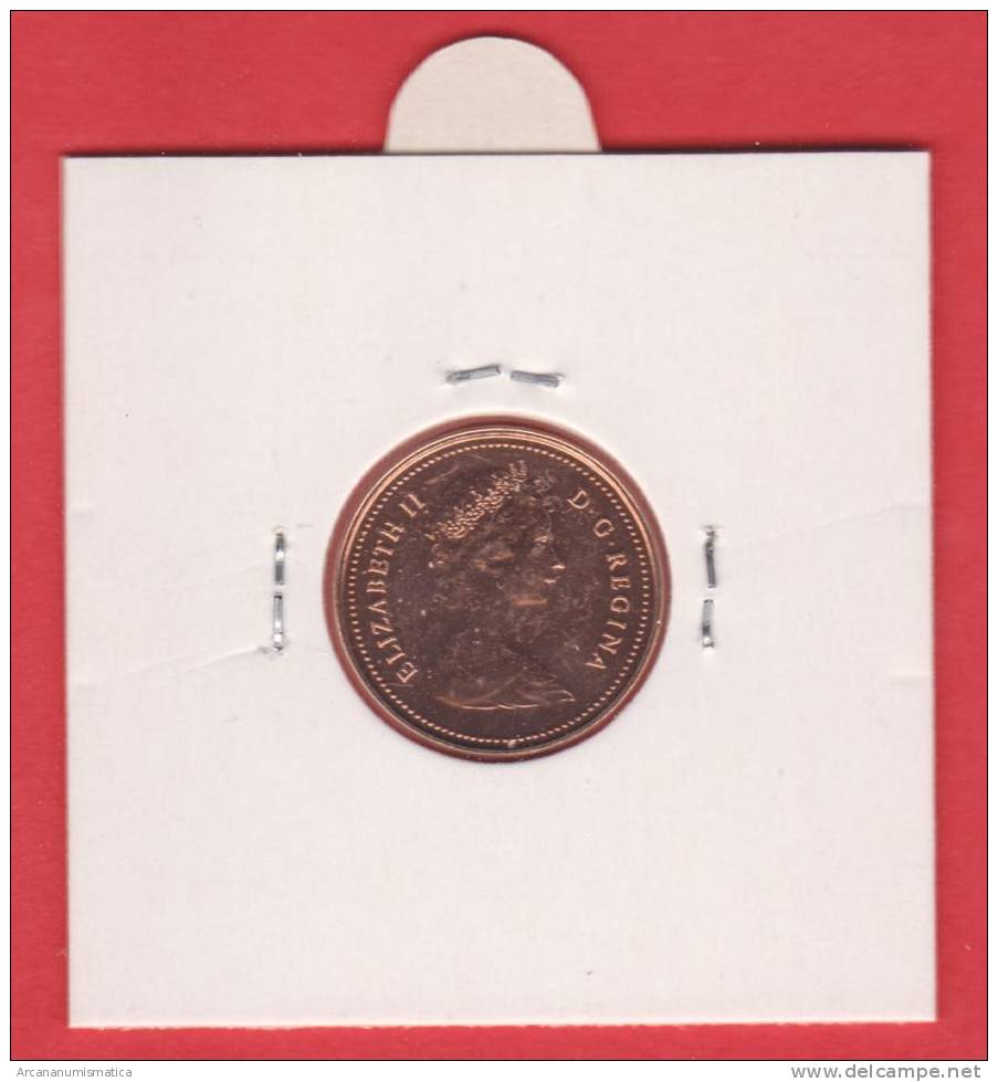 CANADA  1  CENTIMO  1.980    BRONCE  KM#127   SC/UNC   DL-9790 - Canada