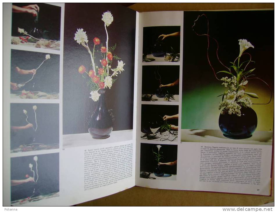 PU/5 Zamperini Pucci ARTE FLOREALE Giapponese  - IKEBANA DeAgostini I Ed 1972/FIORI - Garten