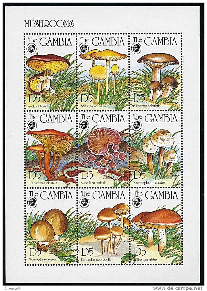 Gambie ** N° 1689 à 1697en Feuille  - Champignons (9 P53) - Gambia (1965-...)