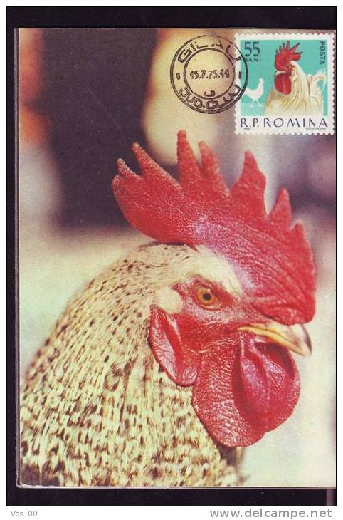 HEN BIRD 1975 CM, MAXICARD,MAXIMUM CARD ROMANIA. - Hoendervogels & Fazanten