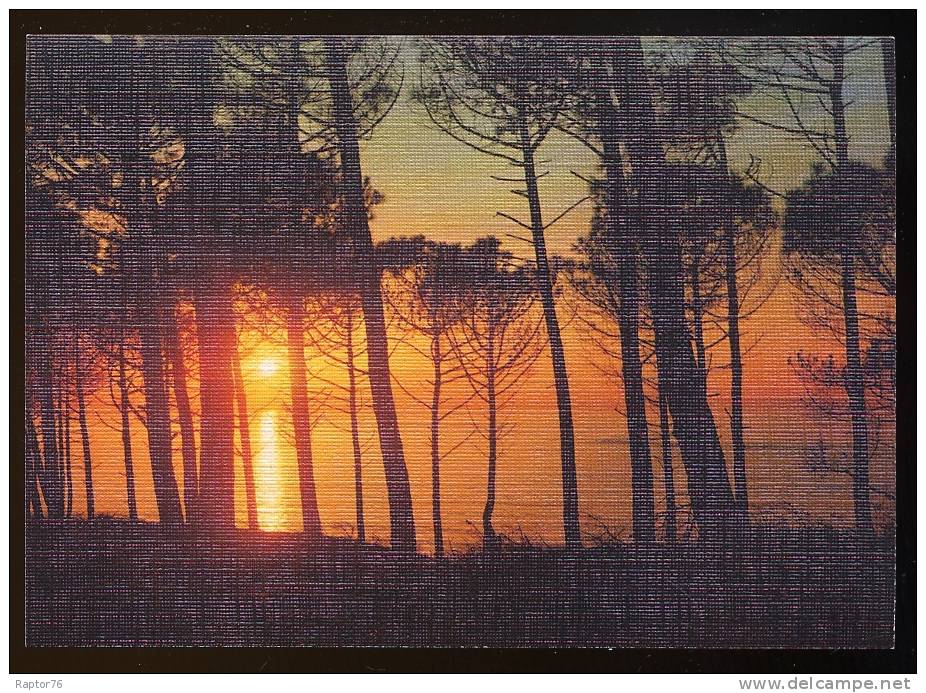 CPM Contre La Lumière Dunes Plages Mer Soleil Plaisirs De L'Eté  ( Toilée ) - Halt Gegen Das Licht/Durchscheink.