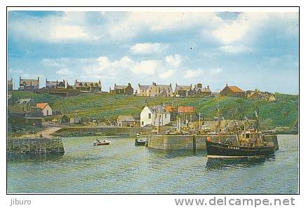 BERWICKSHIRE / The Harbour Entrance / St. Abbs  //  CP 2/173 - Berwickshire