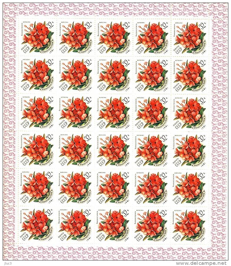 FC4806 - RARE - URSS 1981 - La Très Jolie  FEUILLE  Entière  Neuve** De 30 TIMBRES  N° 4806 (YT) --  Fleurs Des Carpates - Full Sheets