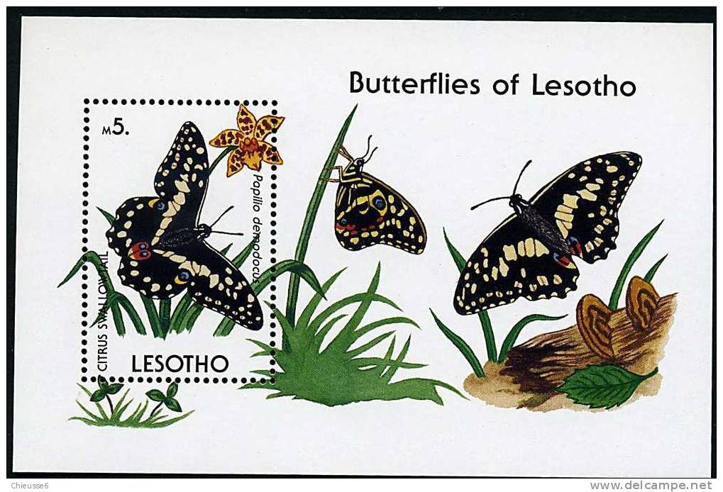 Lesotho ** Bloc N° 75 - Papillons (lot 8) (Champignons 12 P56) - Lesotho (1966-...)