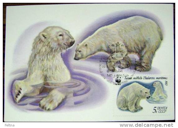 1987 RUSSIA MAXIMUM CARD 4 WHITE POLAR BEAR WWF BEARS - Orsi