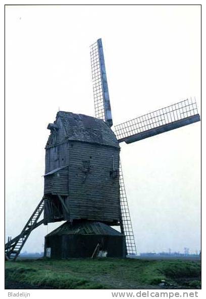 HONDSCHOOTE - Moulin / Mill / Molen - Image Historique (1960) Du Moulin Du Sud (détruit Par La Tempête Du 12-11-1969) - Hondshoote