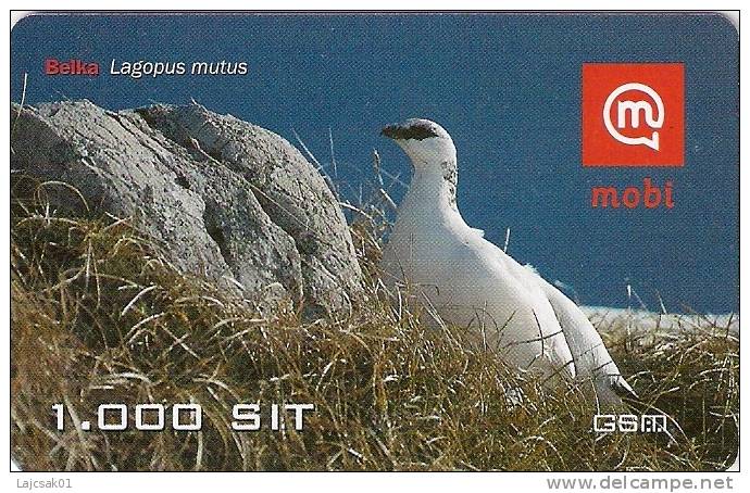 Slovenia Mobile Lagopus Mutus Rock Ptarmigan Bird Birds Grouse Family - Slowenien