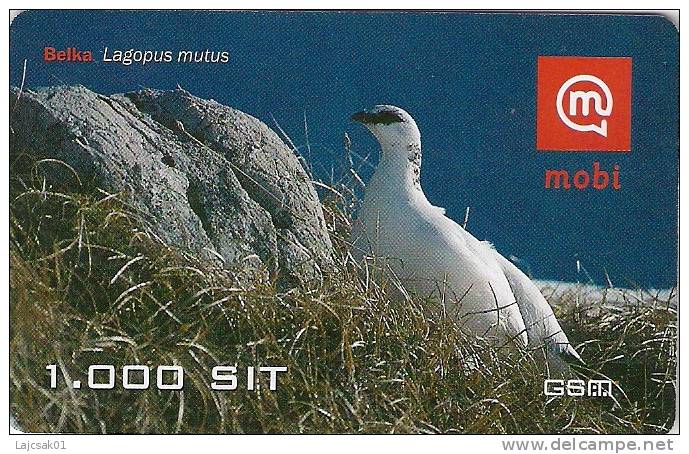 Slovenia Mobile Lagopus Mutus Rock Ptarmigan Bird Birds Grouse Family - Slowenien