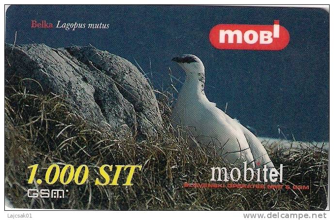 Slovenia Mobile Lagopus Mutus Rock Ptarmigan Bird Birds Grouse Family - Eslovenia