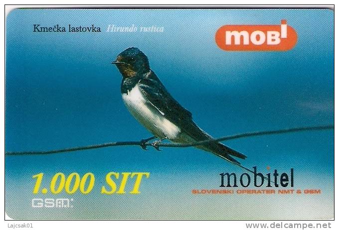Slovenia Mobile Hirundo Rustica Barn Swallow Bird Birds - Eslovenia