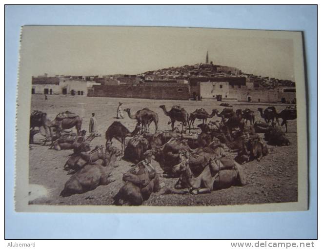 Ghardaia , Vue Sur La Ville - Ghardaia