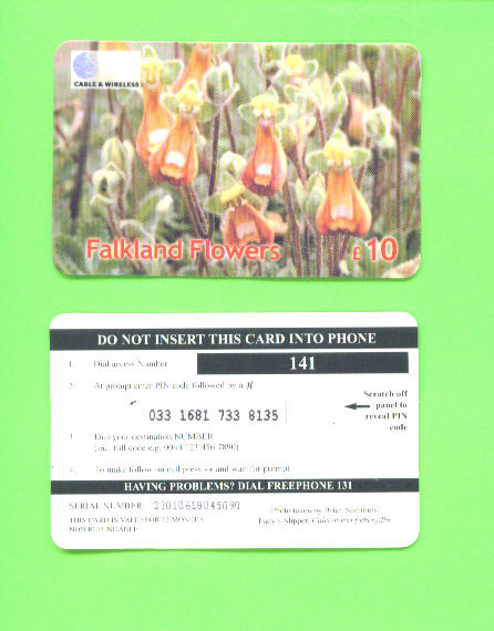 FALKLAND ISLANDS - Remote Phonecard As Scan - Falkland Islands