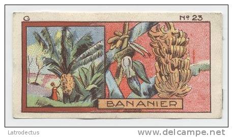 Jacques - 1933 - G23 - Bananier, Bananas - Jacques