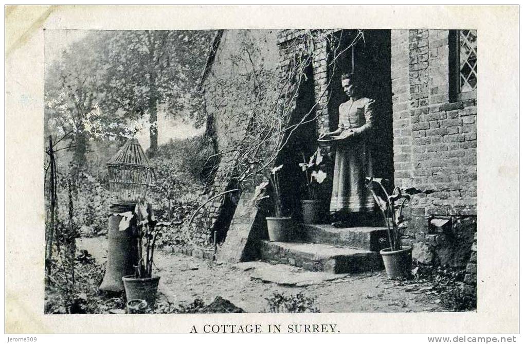 ROYAUME-UNI - SURREY - CPA - A COTTAGE IN SURREY - Idle Moments Series - Surrey