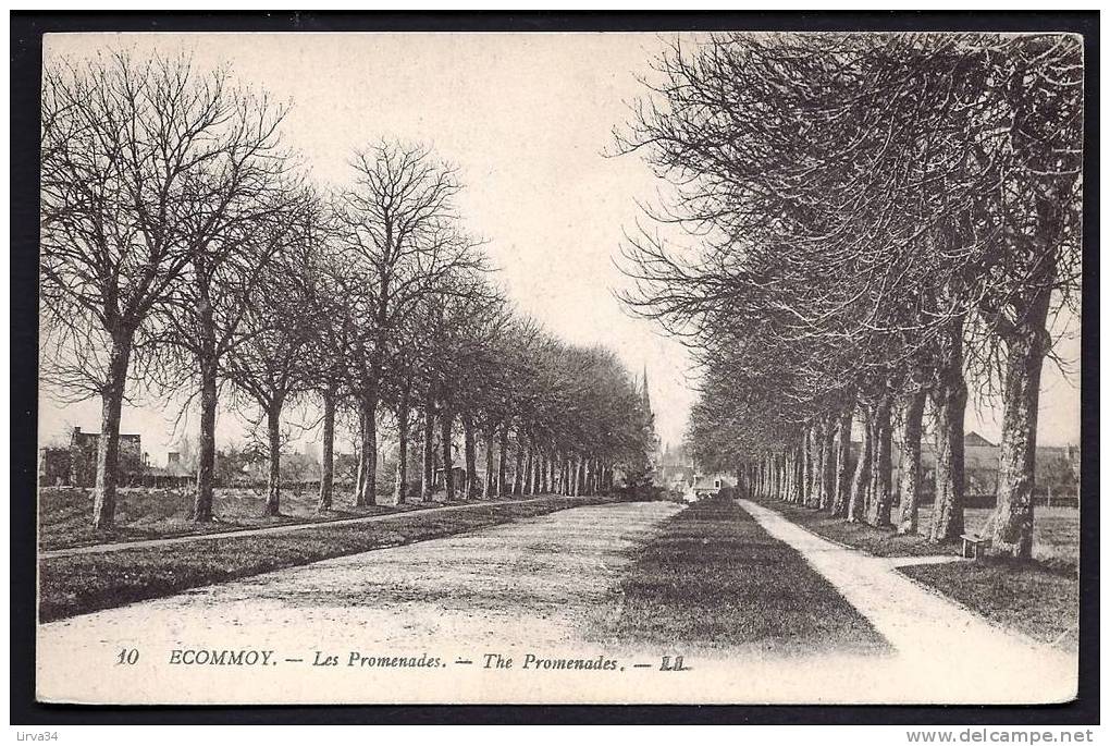 CPA  ANCIENNE- FRANCE- ECOMMOY (72)- LES PROMENADES EN GROS PLAN D'HIVER- - Ecommoy