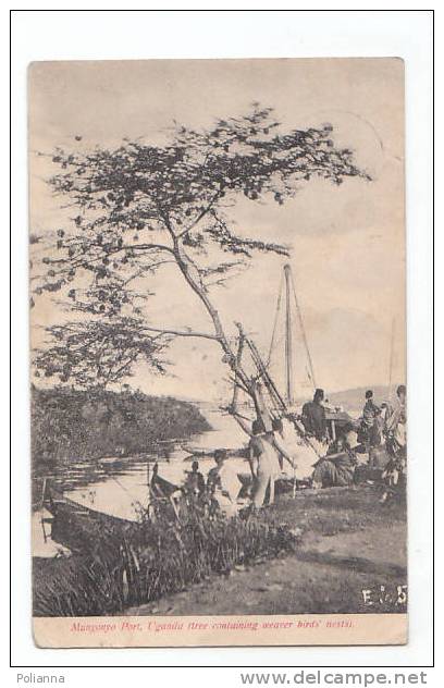 PO463# UGANDA - MUNYONYO PORT - ALBERO DI UCCELLI TESSITORI - BIRD'S NESTS  VG Mombasa 1906 - Uganda
