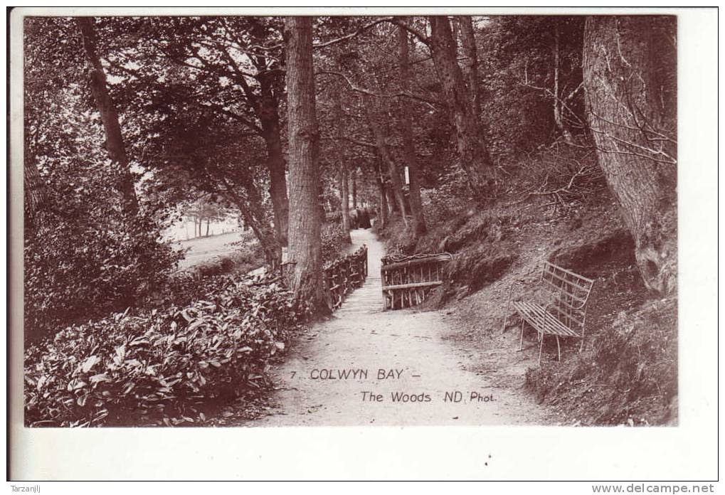 CPA De Colwyn Bay (Pays De Galles UK): The Woods - Denbighshire