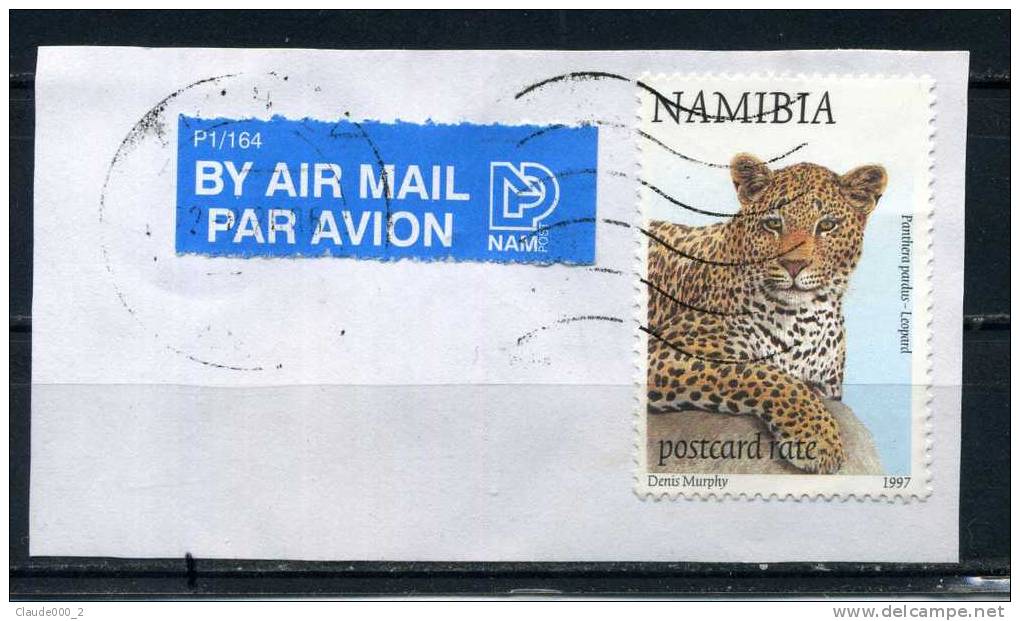 LEOPARD  Sur Fragment  . Cachet Rond    (670) - Namibie (1990- ...)