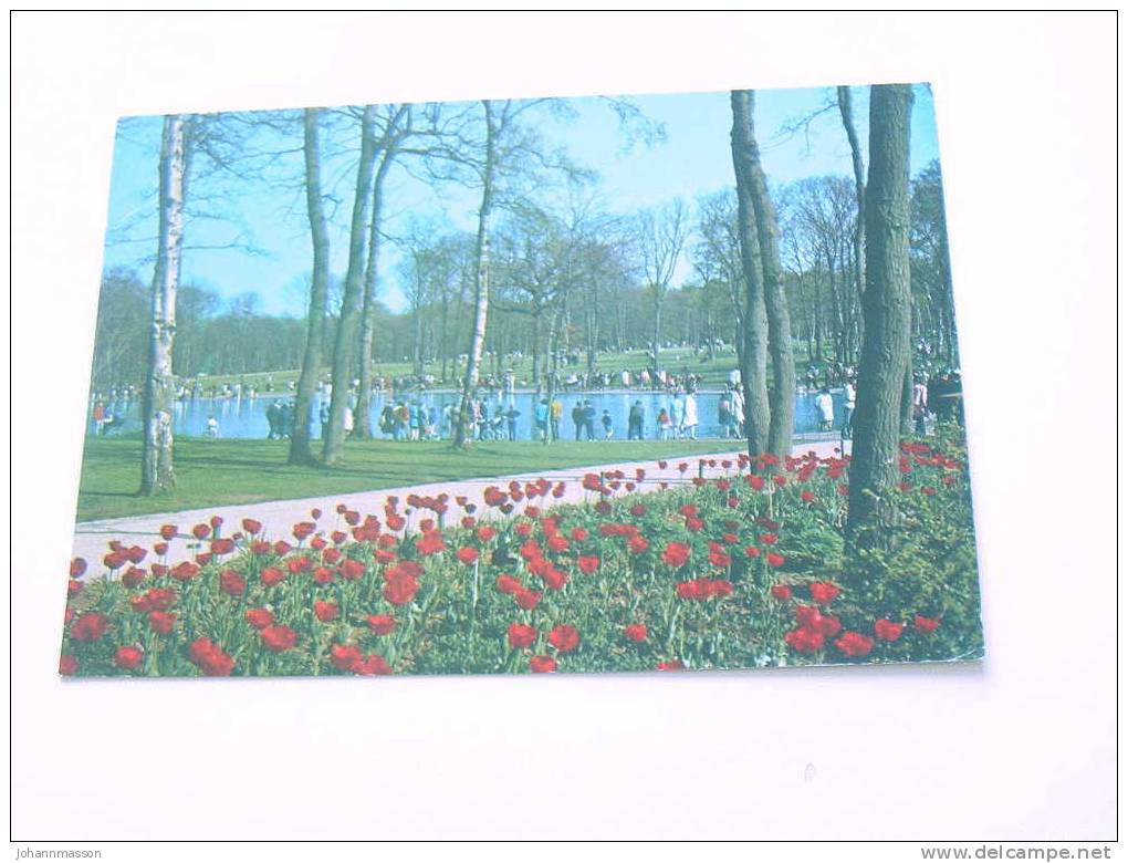 Cp   Le Havre  La Fôret  De Montgeon. Le Lac  Aux Cygnes - Forêt De Montgeon