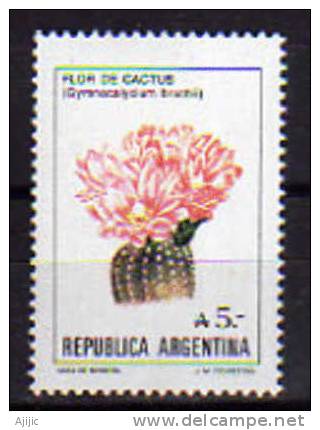 ARGENTINE. Cactus Gymnocalycium Bruchii. Un T-p Neuf **  YV.# 1559.  COTE €. 6.75 - Cactussen