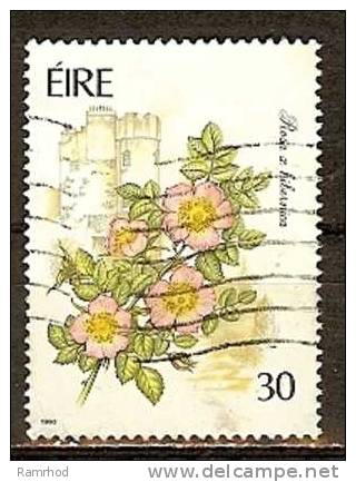 IRELAND 1990 Garden Flowers -30p. - "Rosa X Hibernica" And Mulahide Castle Gardens  FU - Used Stamps