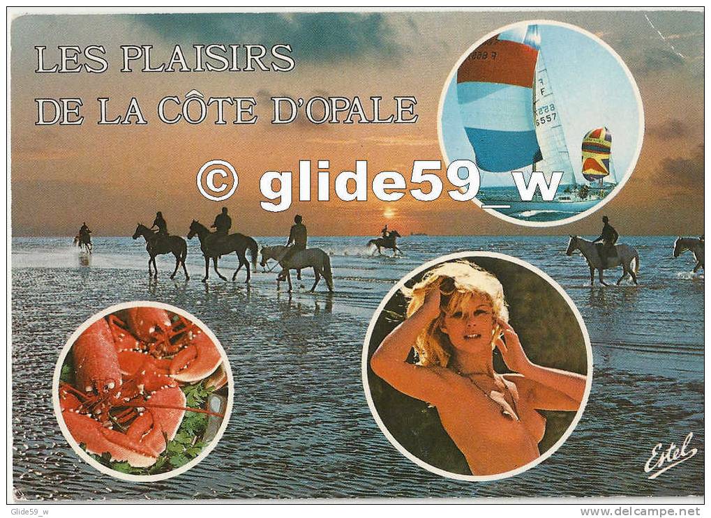 Souvenir De La Côte D'Opale - N° 554 R - Nord-Pas-de-Calais