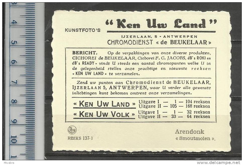 ARENDONK - SMOUTMOLEN - MOLEN -MOULIN - MILL - MÜHLE - MOLINO - CHROMO DE BEUKELAAR CICHOREI - De Beukelaer