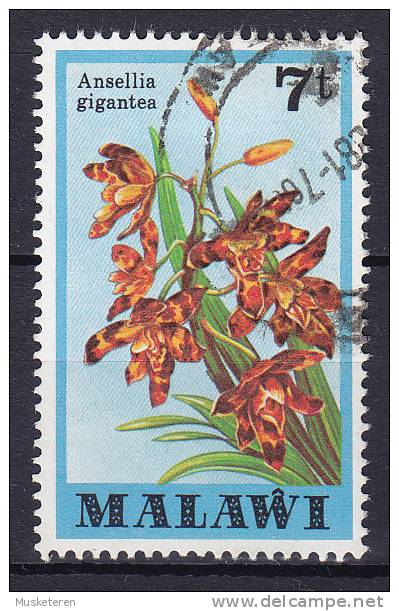 Malawi 1979 Mi. 308    7 T Flower Blume Orchideen Orchid - Malawi (1964-...)