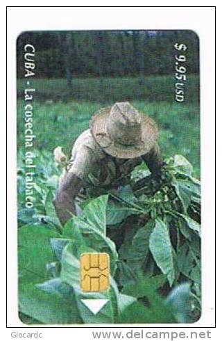 CUBA - ETECSA CHIP  - 2002  TOBACCO CROP           - USED -  RIF. 2721 - Cuba