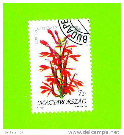 Timbre Oblitéré Used Mint Stamp Selo Carimbado Magyar Posta MAGYARORSZAG LOBELIA CARDINALIS 7 HONGRIE HUNGARY 1991 - Gebraucht