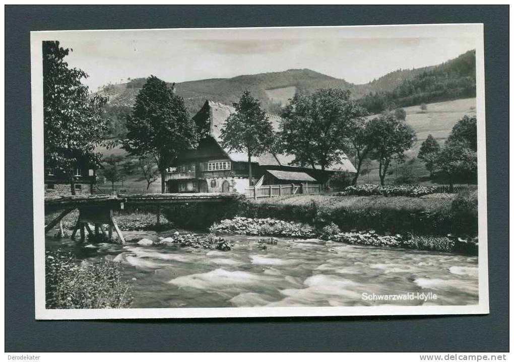 Schwarzwald-Idylle. Photographiekarte Metz. Unbeschrieben. Gut. Haus. Home. Huis. New! - Hochschwarzwald