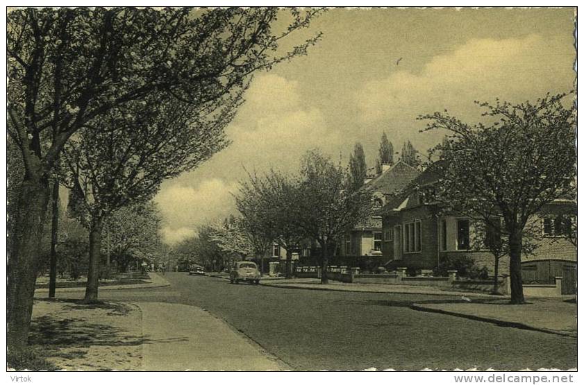 Boitsfort : ' LE LOGIS '  Avenue Du L'arbalète - Watermael-Boitsfort - Watermaal-Bosvoorde