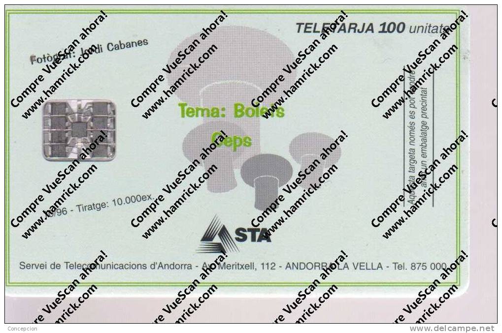 TARJETAS  TELEFONICA N 61 USADA - Andorra